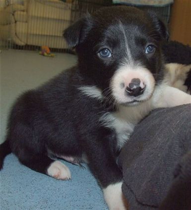 Click for large image