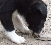 Click for large image