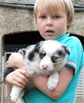 Click for large image