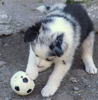 Click for large image