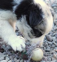 Click for large image