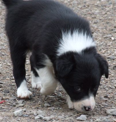 Click for large image