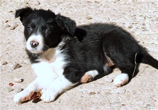 Click for large image