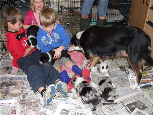 Click for large image