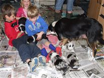 Click for large image