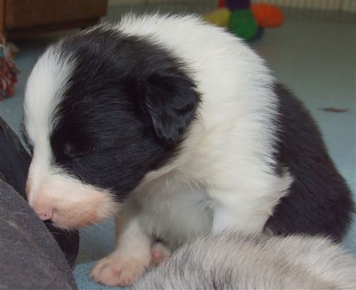 Click for large image