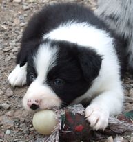 Click for large image