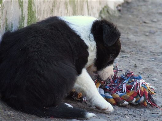 Click for large image