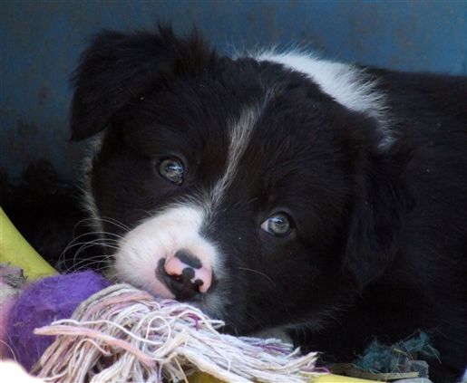 Click for large image