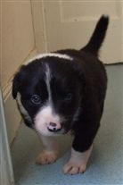 Click for large image