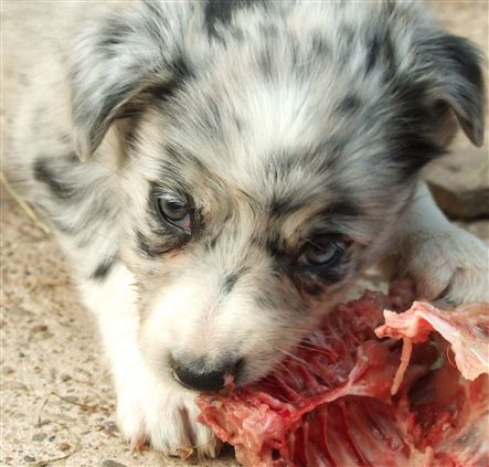 Click for large image