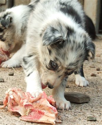 Click for large image