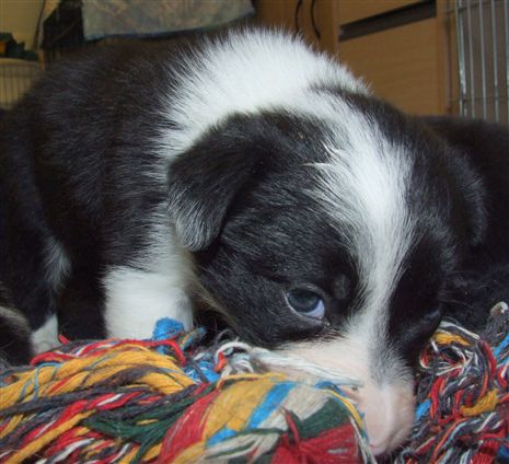 Click for large image