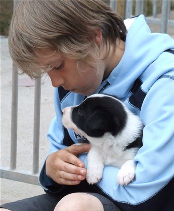 Click for large image