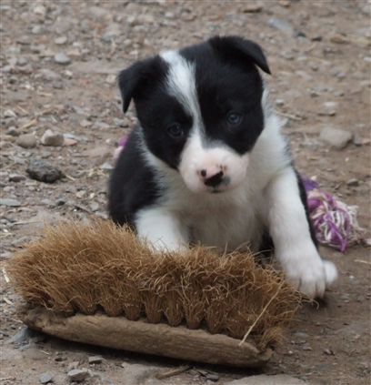 Click for large image