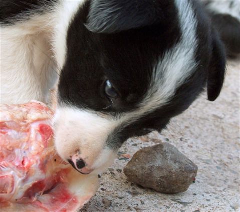 Click for large image