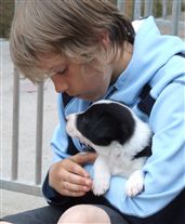 Click for large image