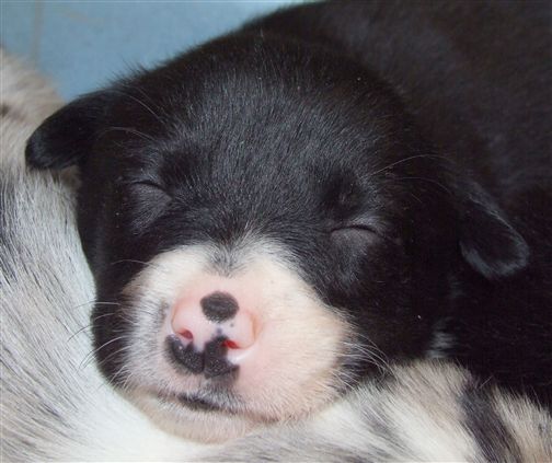 Click for large image