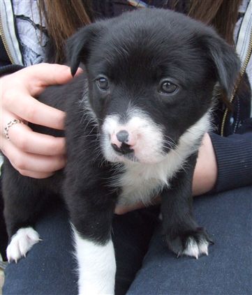 Click for large image