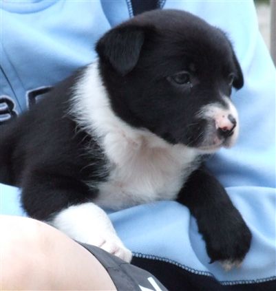 Click for large image