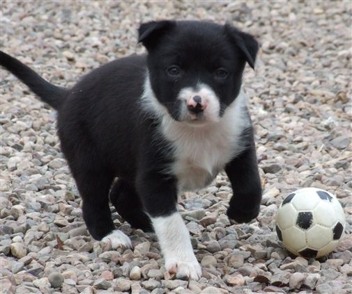 Click for large image