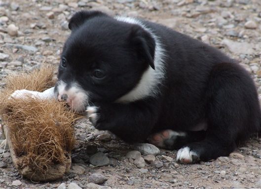 Click for large image