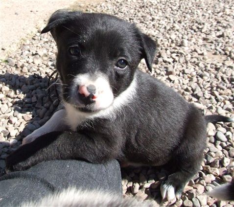 Click for large image