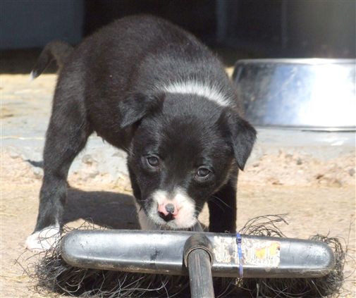 Click for large image