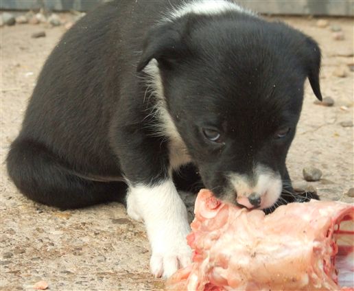 Click for large image