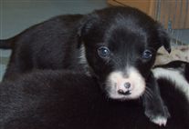 Click for large image