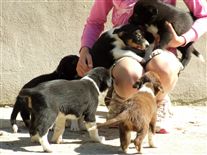 Click for large image