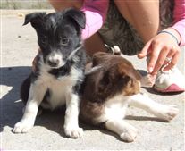 Click for large image