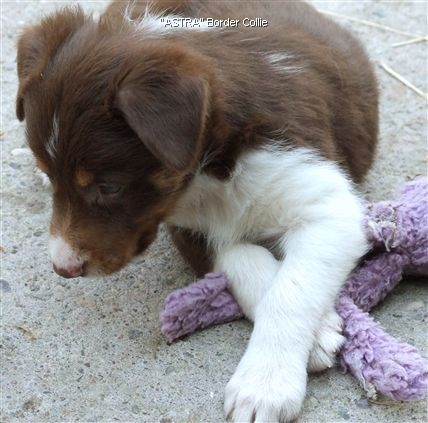 Click for large image