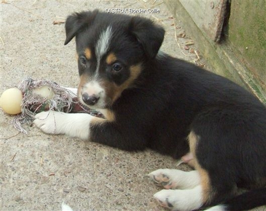 Click for large image