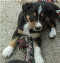 Click for large image