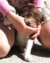 Click for large image