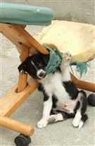 Click for large image