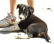 Click for large image