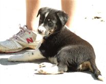 Click for large image