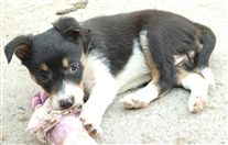 Click for large image