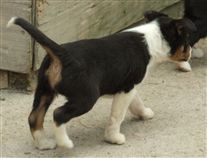 Click for large image