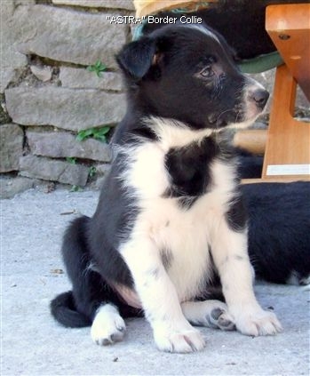 Click for large image