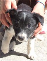 Click for large image