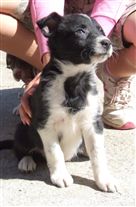 Click for large image