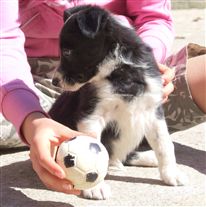 Click for large image