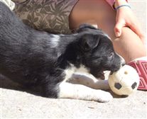 Click for large image