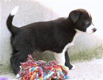 Click for large image