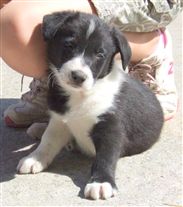 Click for large image