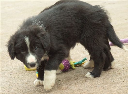 Click for large image