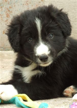 Click for large image